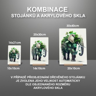 Akrylové sklo Přírodní slon
