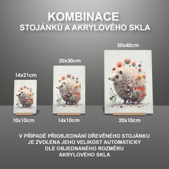 Akrylové sklo Květinový ježek