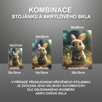 Akrylové sklo Animovaný zajíček