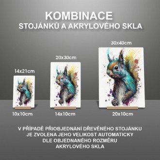 Akrylové sklo Graffiti veverka