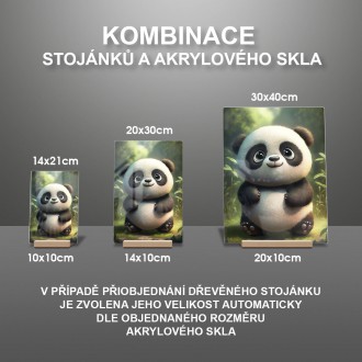 Akrylové sklo Animovaná panda