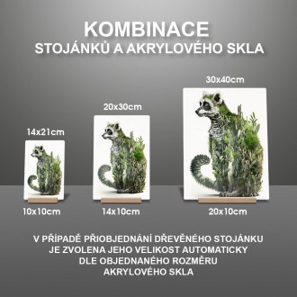 Akrylové sklo Přírodní lemur