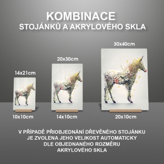 Akrylové sklo Květinový kůň