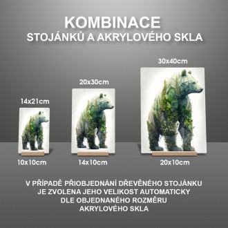 Akrylové sklo Přírodní medvěd