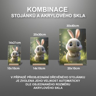 Akrylové sklo Roztomilý zajíček
