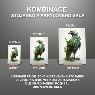 Akrylové sklo Přírodní orel