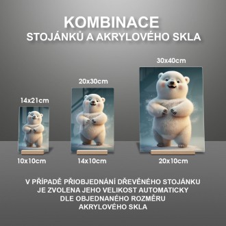 Akrylové sklo Roztomilý lední medvěd