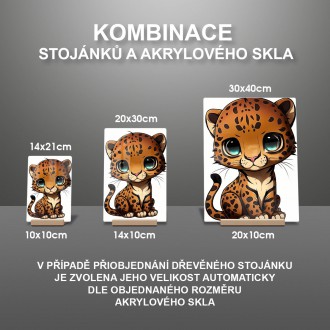Akrylové sklo Malý levhart