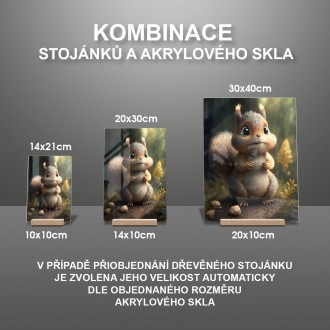 Akrylové sklo Animovaná veverka