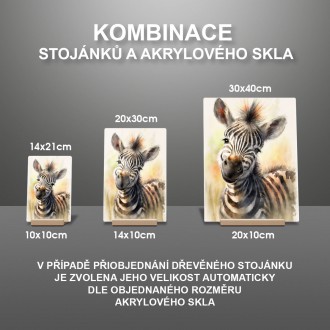 Akrylové sklo Akvarelová zebra