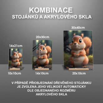 Akrylové sklo Roztomilá veverka