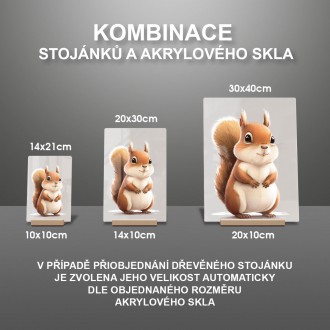 Akrylové sklo Malá veverka
