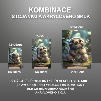 Akrylové sklo Roztomilý lenochod