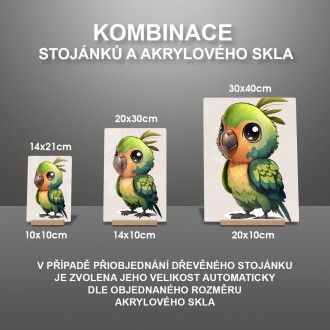 Akrylové sklo Malý papoušek