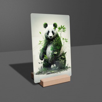 Akrylové sklo Přírodní panda