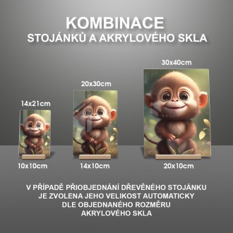 Akrylové sklo Roztomilý opičák
