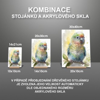 Akrylové sklo Akvarelový papoušek
