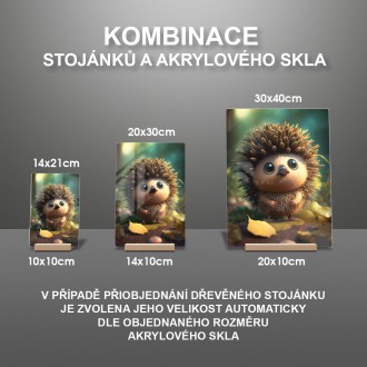 Akrylové sklo Roztomilý ježek