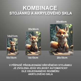 Akrylové sklo Roztomilá liška