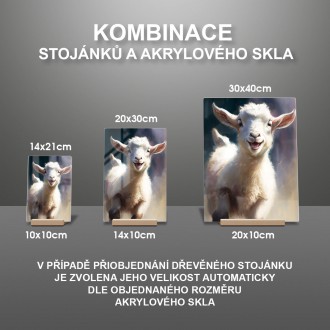 Akrylové sklo Akvarelová koza