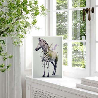 Květinová zebra
