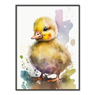 Akvarelová kachna
