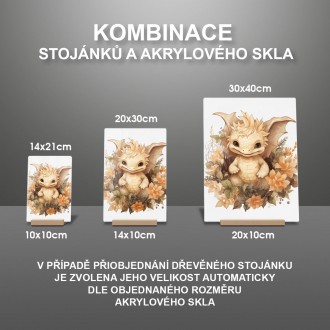 Akrylové sklo Mládě draka v květinách