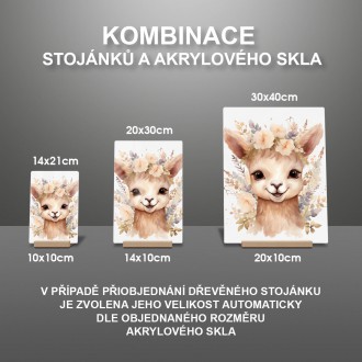 Akrylové sklo Mládě lamy v květinách