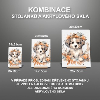 Akrylové sklo Mládě psa v květinách