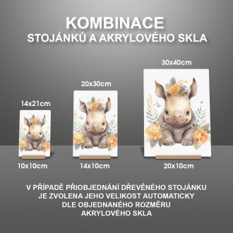 Akrylové sklo Mládě nosorožce v květinách