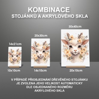Akrylové sklo Mládě kozy v květinách