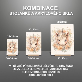 Akrylové sklo Mládě jednorožce v květinách