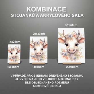 Akrylové sklo Mládě krávy v květinách