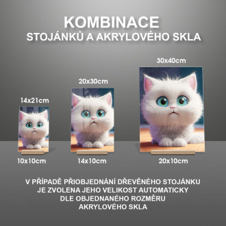 Akrylové sklo Roztomilá animovaná kočka 2