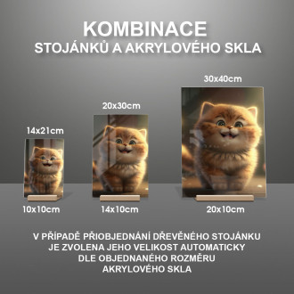 Akrylové sklo Roztomilá animovaná kočka 3