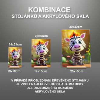 Akrylové sklo Roztomilá animovaná zebra 1