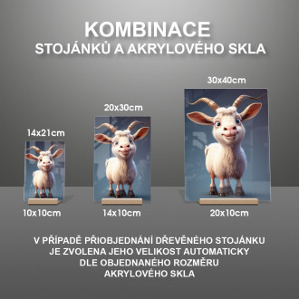 Akrylové sklo Roztomilá animovaná koza 2