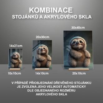 Akrylové sklo Roztomilý animovaný lenochod