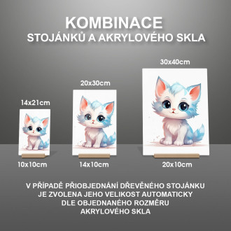 Akrylové sklo Kreslená Kočka