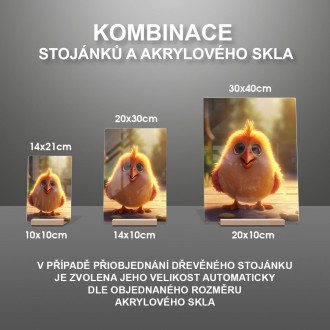 Akrylové sklo Roztomilé animované kuře 1