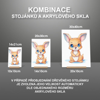 Akrylové sklo Kreslený Klokan