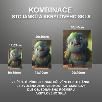 Akrylové sklo Roztomilý animovaný papoušek 2