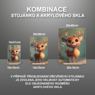 Akrylové sklo Roztomilý animovaný koloušek
