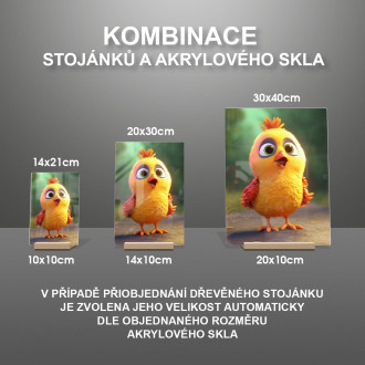 Akrylové sklo Roztomilé animované kuře