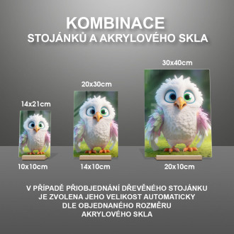 Akrylové sklo Roztomilý animovaný orel