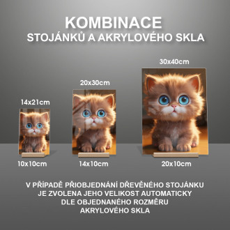 Akrylové sklo Roztomilá animovaná kočka 1