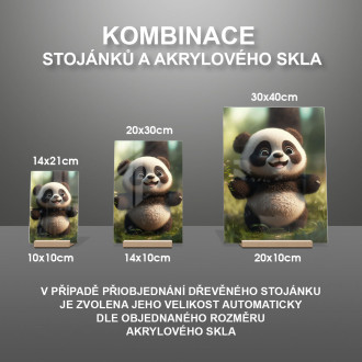 Akrylové sklo Roztomilá animovaná panda