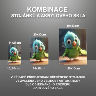 Akrylové sklo Roztomilý animovaný papoušek
