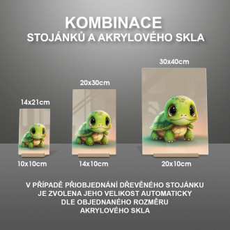 Akrylové sklo Kreslená Želva