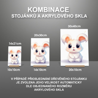 Akrylové sklo Kreslený Králíček